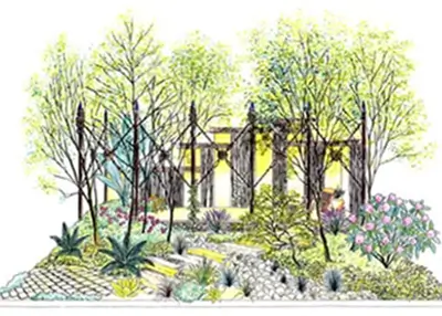 2001年 国際バラとガーデニングショウコンテスト 優秀賞