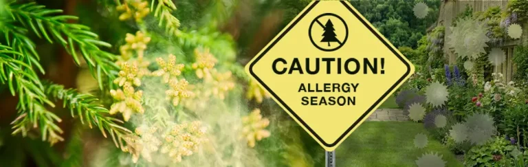 花粉対策_メイン画像