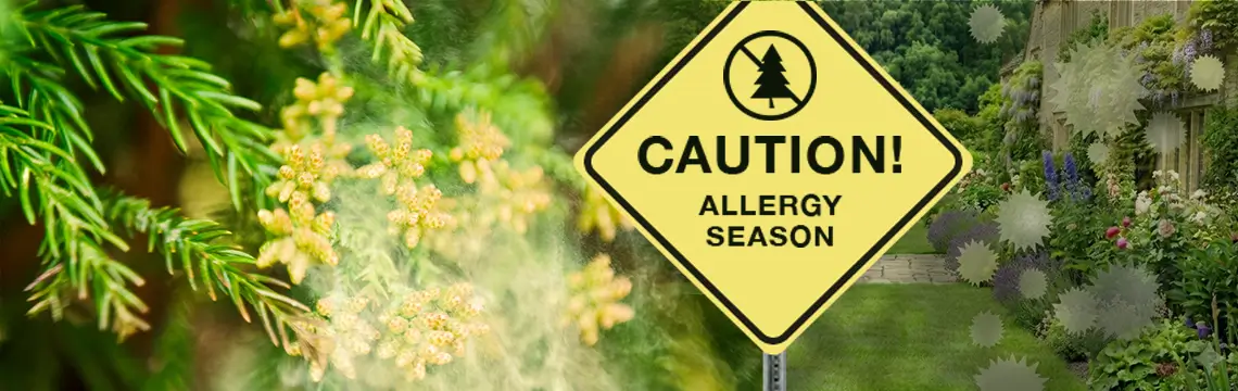 庭木と花粉対策をイメージしたビジュアル