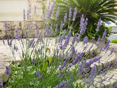 LIXIL 暖蘭物語の施工イメージ