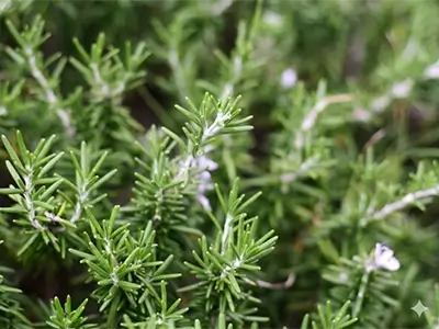 LIXIL ジーマの施工イメージ