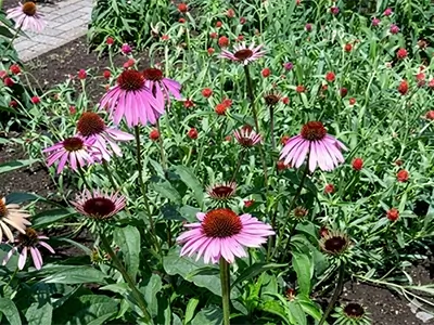 LIXIL ココマの施工イメージ