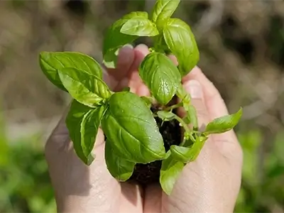 室内への持ち込み対策のイメージ