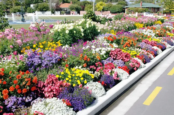 ニュージーランドの庭事例 3