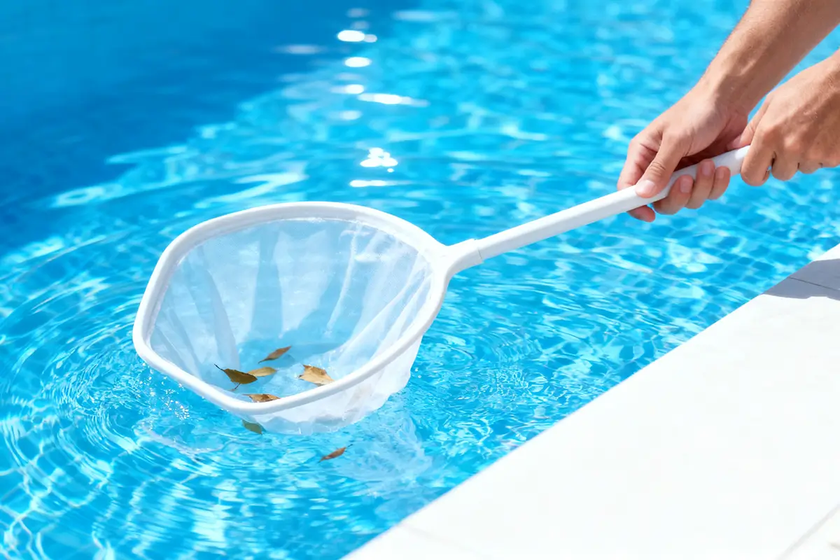 プール表面の落ち葉をネットで取り除く様子