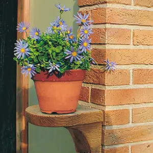 カンナ物置 花台 TypeA