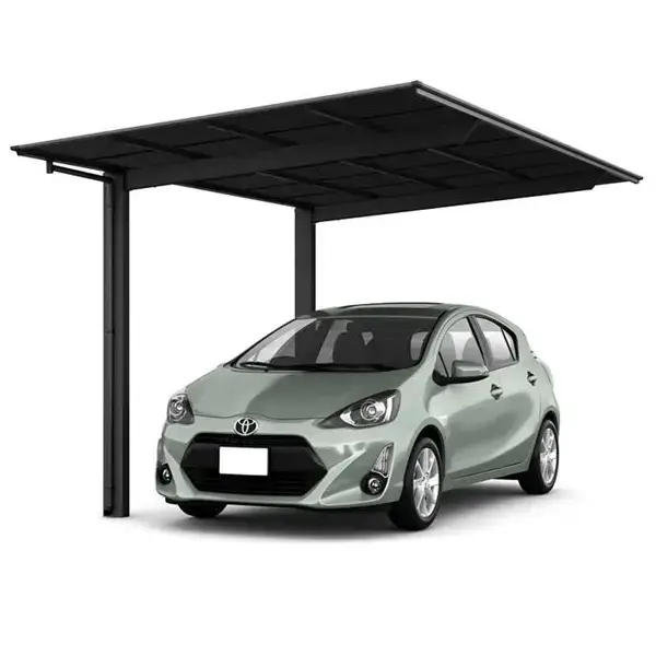 ネスカF ブラック色