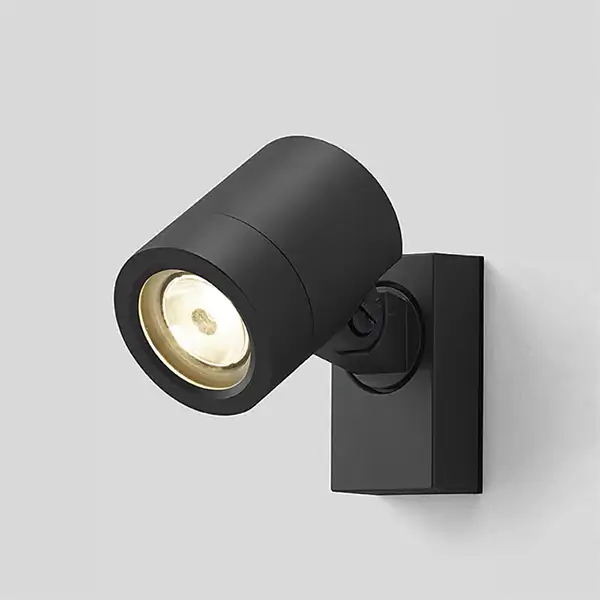 ネスカF スポットライトオプション