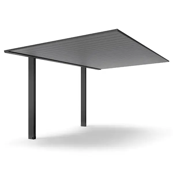 プレーンルーフ カームブラック色