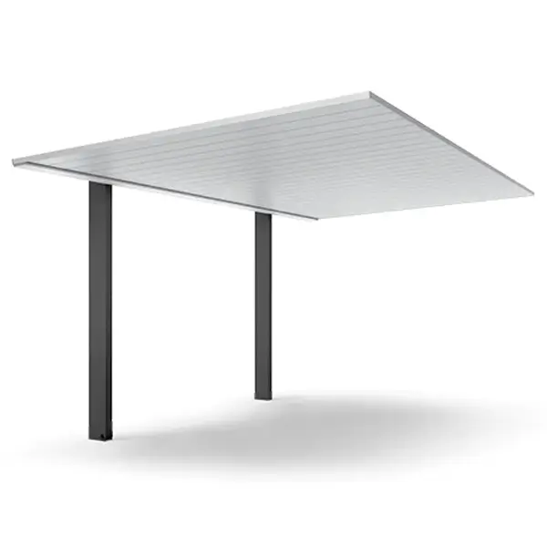 プレーンルーフ ピュアシルバー色