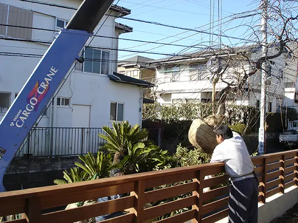 植栽や仕上げが完了し完成直前の庭の様子
