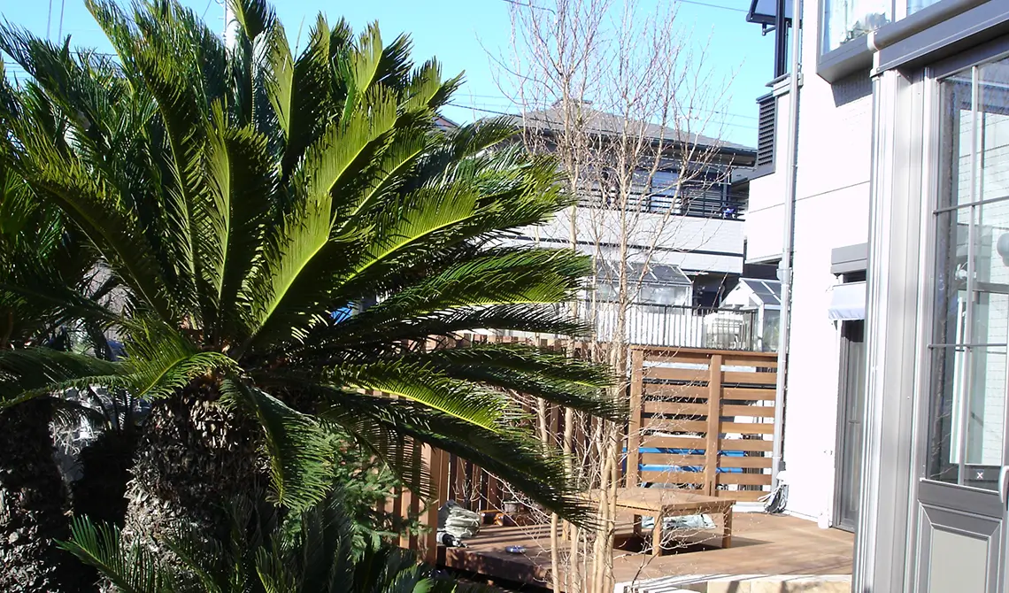 完成写真5のサムネイル