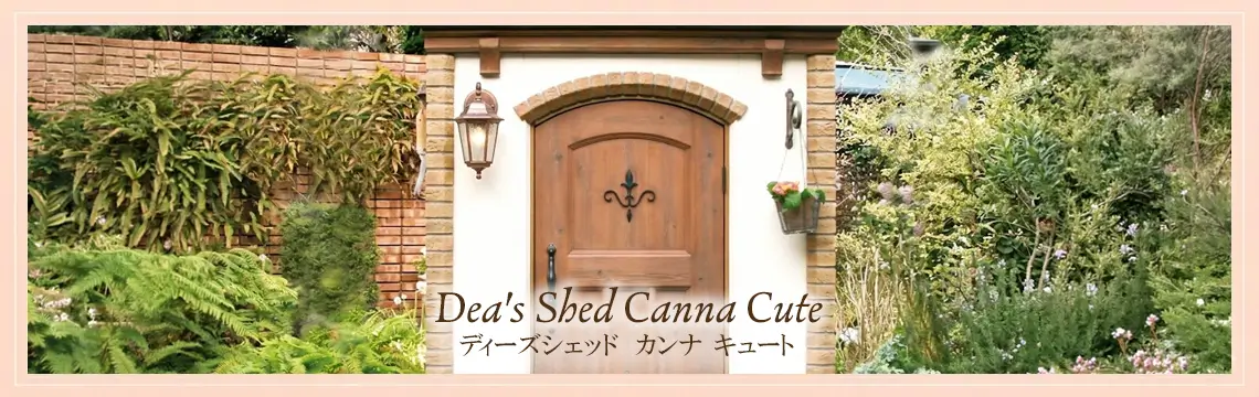 ディーズシェッド カンナキュートのメイン画像